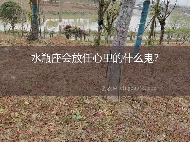水瓶座會放任心里的什么鬼？