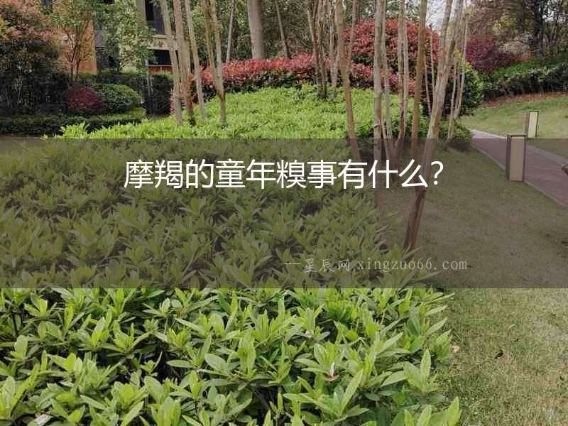 摩羯的童年糗事有什么？