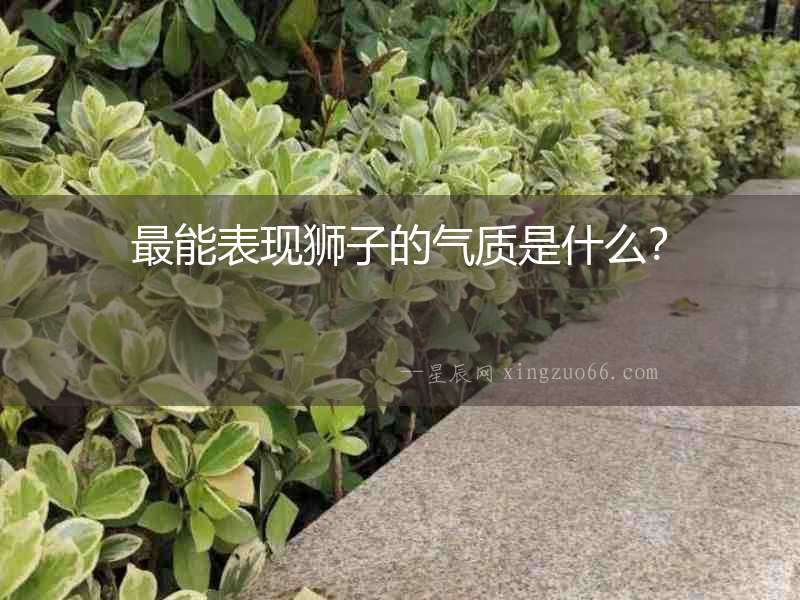 最能表現(xiàn)獅子的氣質(zhì)是什么？