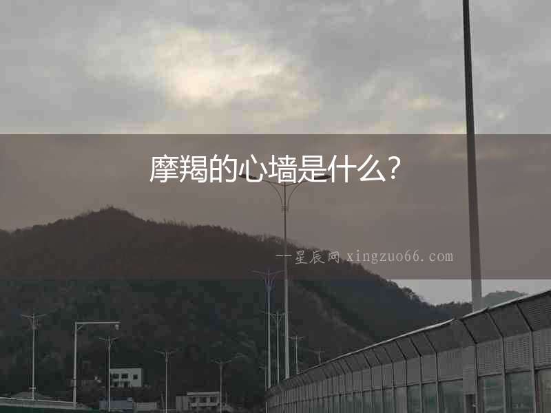 摩羯的心墻是什么？