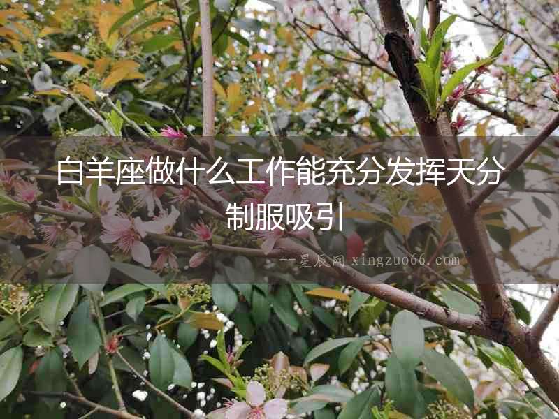 白羊座做什么工作能充分發(fā)揮天分 制服吸引