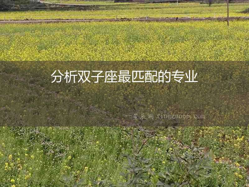 分析雙子座最匹配的專業