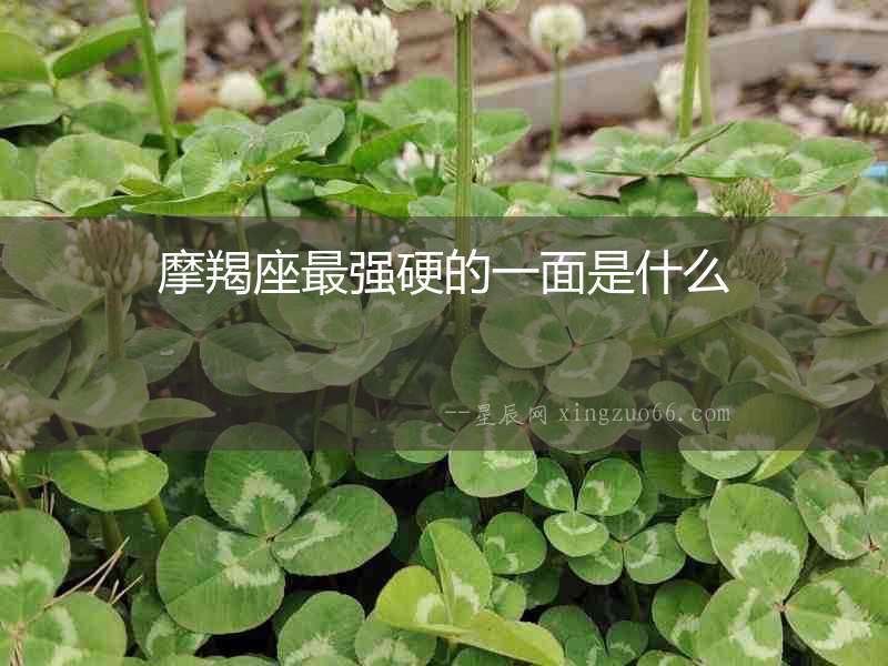 摩羯座最強硬的一面是什么
