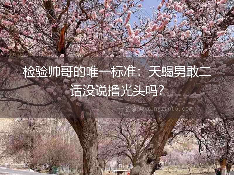 檢驗(yàn)帥哥的唯一標(biāo)準(zhǔn)：天蝎男敢二話沒說擼光頭嗎？