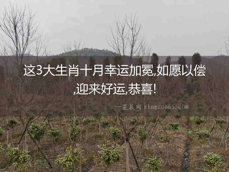 這3大生肖十月幸運加冕,如愿以償,迎來好運,恭喜!