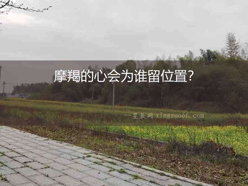 摩羯的心會為誰留位置？