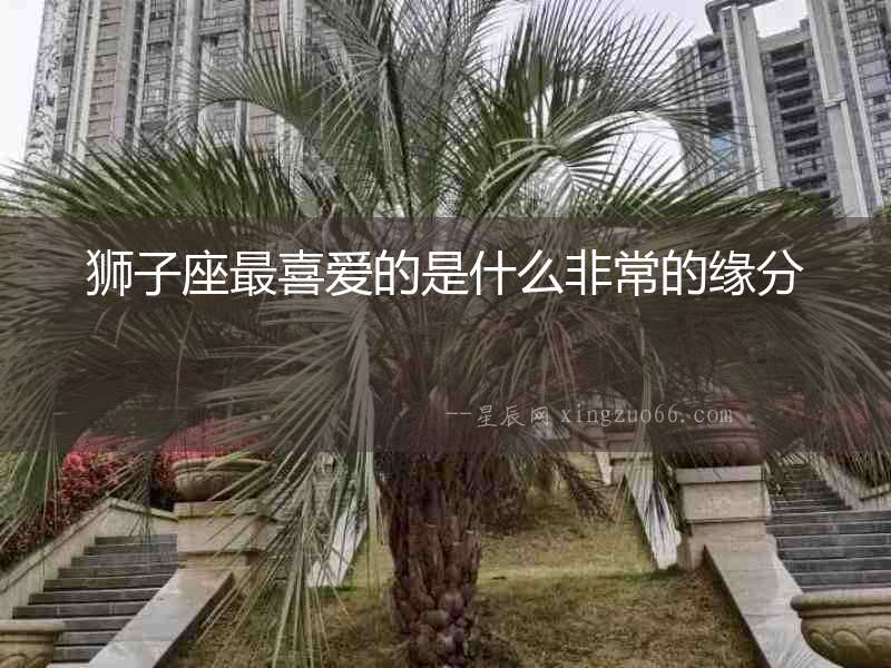 獅子座最喜愛的是什么非常的緣分