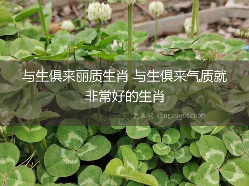 與生俱來麗質生肖 與生俱來氣質就非常好的生肖
