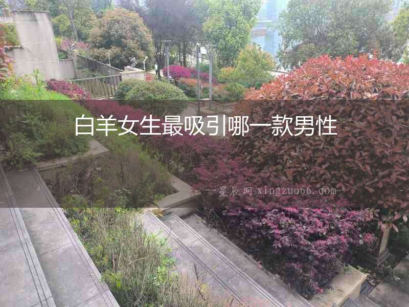 白羊女生最吸引哪一款男性