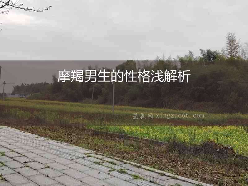 摩羯男生的性格淺解析