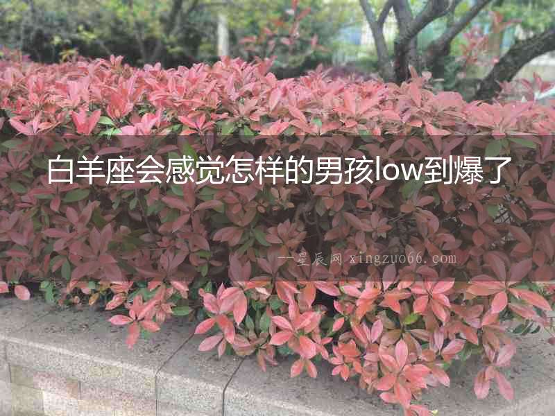 白羊座會感覺怎樣的男孩low到爆了