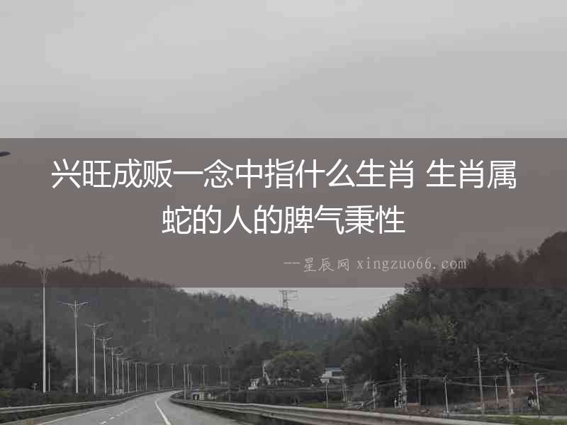 興旺成販一念中指什么生肖 生肖屬蛇的人的脾氣秉性