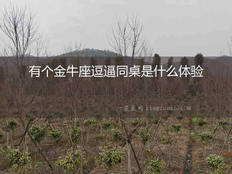 有個(gè)金牛座逗逼同桌是什么體驗(yàn)