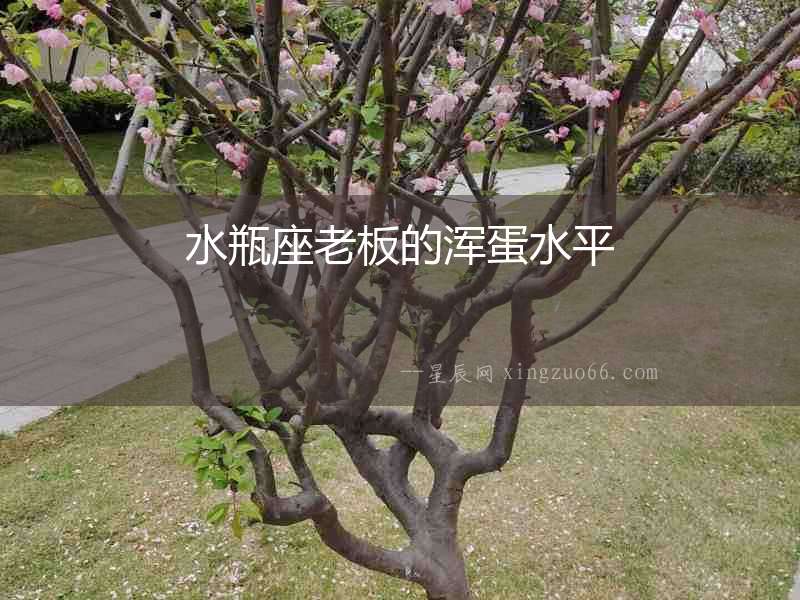 水瓶座老板的渾蛋水平