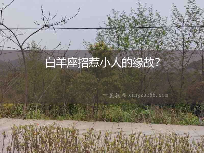 白羊座招惹小人的緣故？