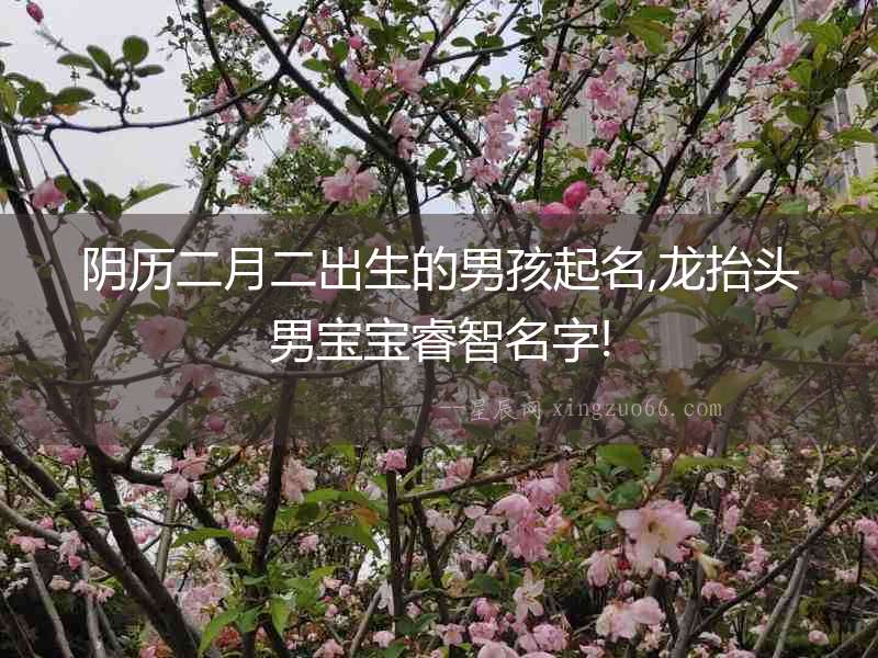 陰歷二月二出生的男孩起名,龍?zhí)ь^男寶寶睿智名字!