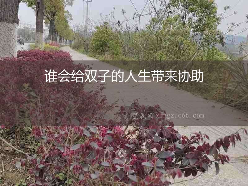 誰會給雙子的人生帶來協助
