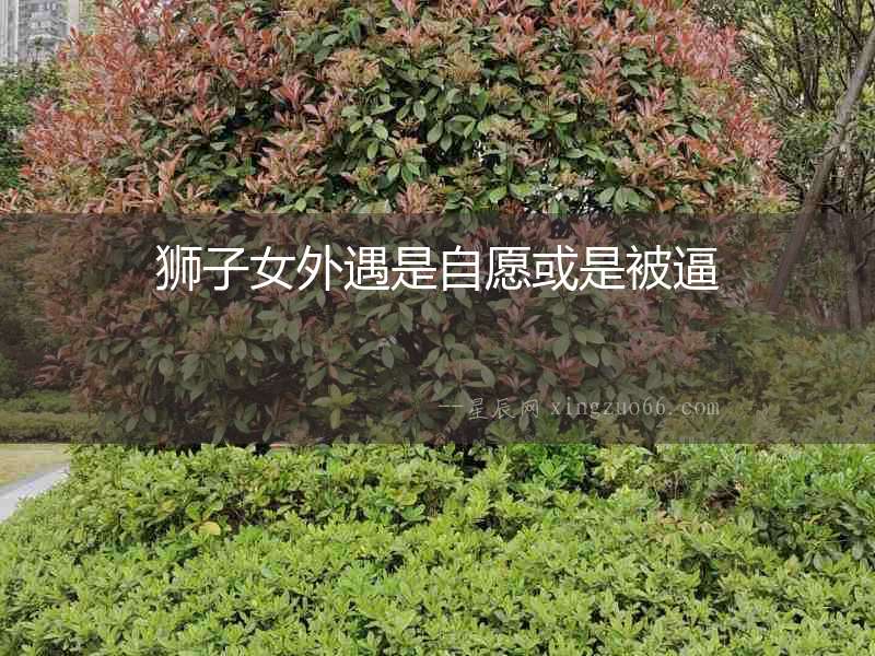 獅子女外遇是自愿或是被逼
