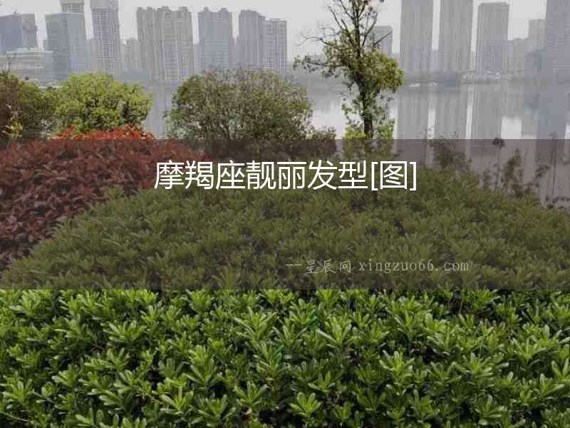 摩羯座靚麗發型[圖]