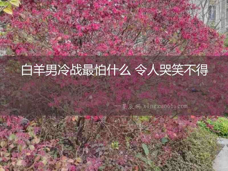 白羊男冷戰最怕什么 令人哭笑不得
