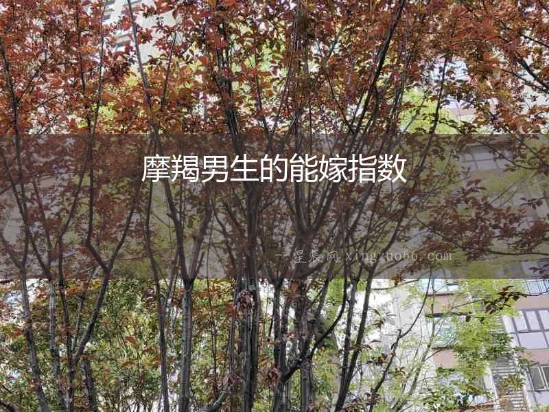 摩羯男生的能嫁指數