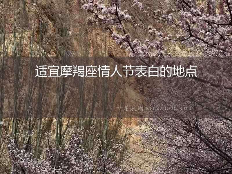 適宜摩羯座情人節表白的地點