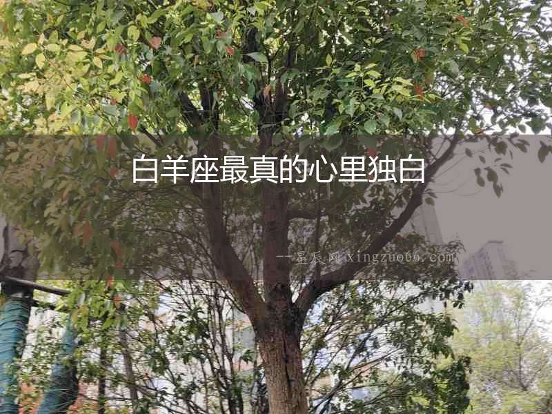 白羊座最真的心里獨白