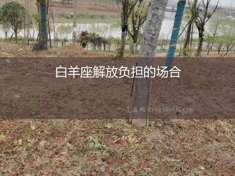 白羊座解放負擔的場合