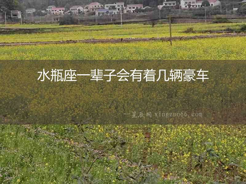 水瓶座一輩子會有著幾輛豪車