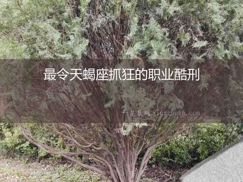 最令天蝎座抓狂的職業酷刑