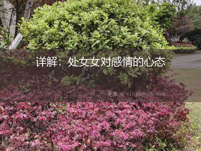 詳解：處女女對感情的心態
