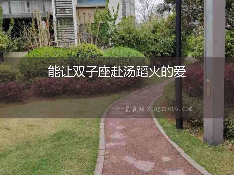 能讓雙子座赴湯蹈火的愛