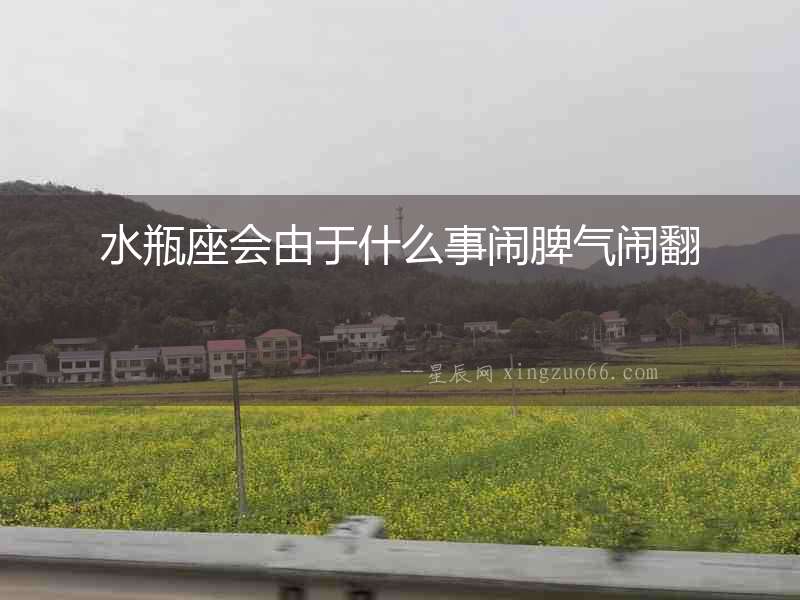 水瓶座會由于什么事鬧脾氣鬧翻