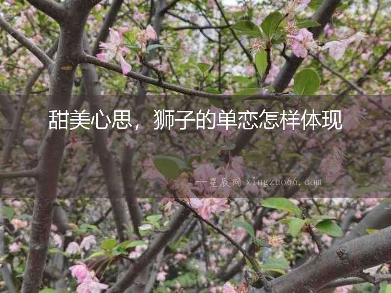 甜美心思，獅子的單戀怎樣體現
