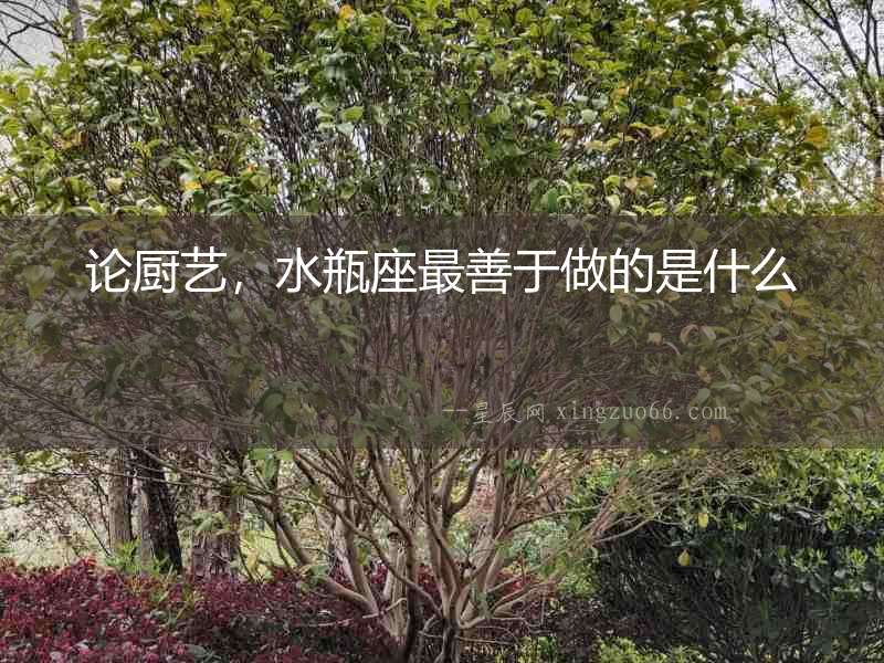 論廚藝，水瓶座最善于做的是什么