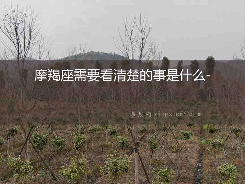 摩羯座需要看清楚的事是什么-