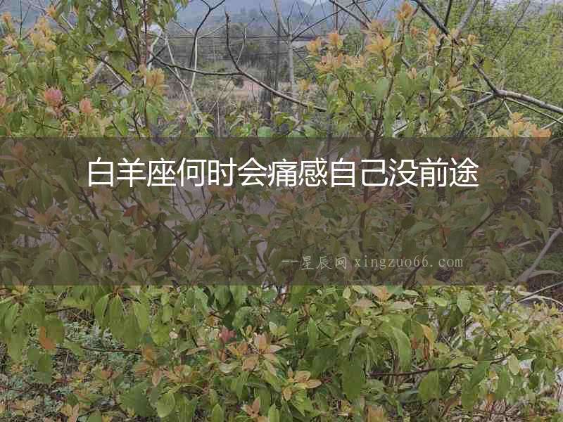 白羊座何時會痛感自己沒前途