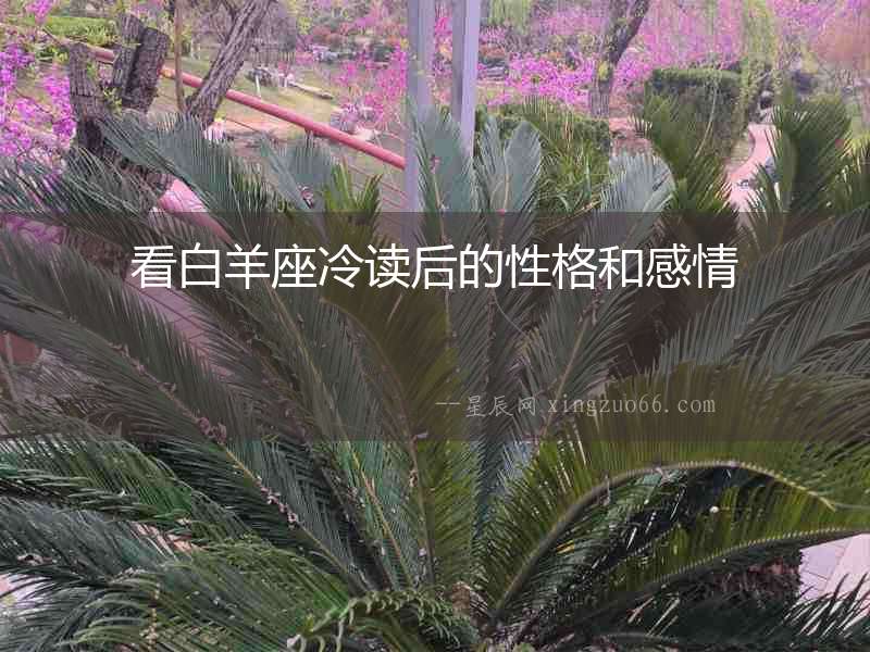 看白羊座冷讀后的性格和感情