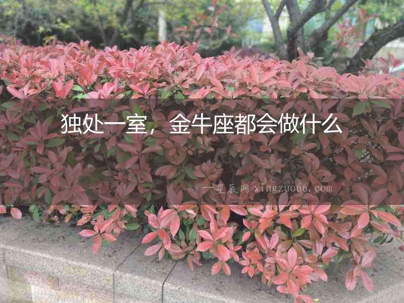 獨處一室，金牛座都會做什么