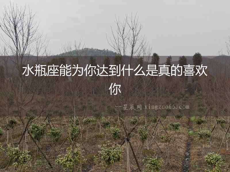 水瓶座能為你達到什么是真的喜歡你