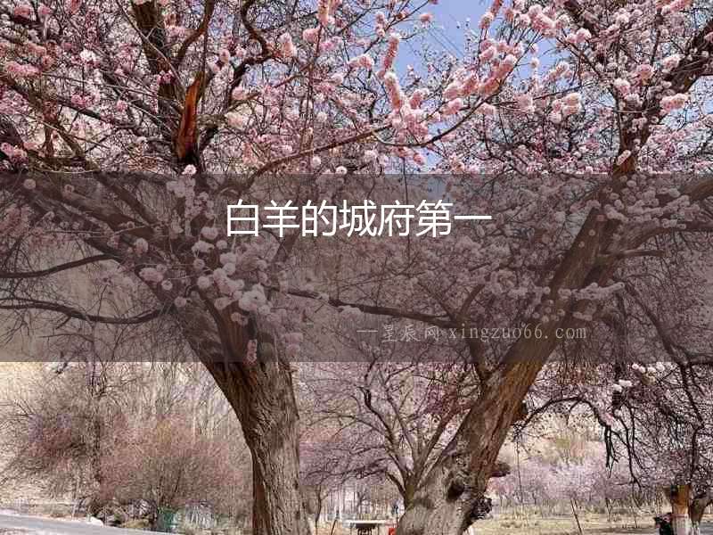 白羊的城府第一