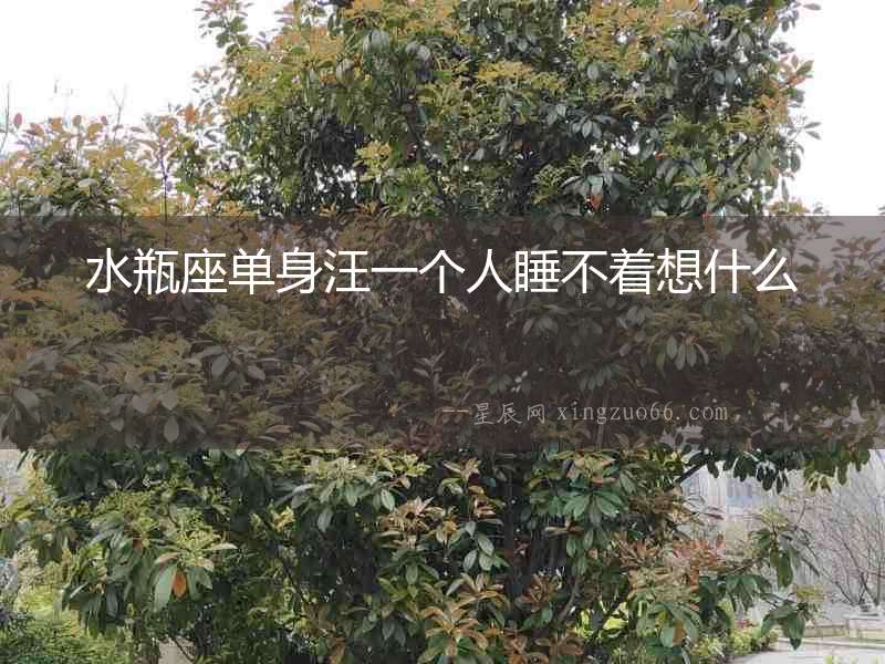 水瓶座單身汪一個人睡不著想什么