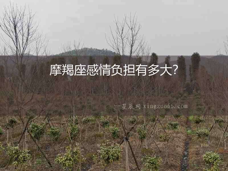 摩羯座感情負擔有多大？