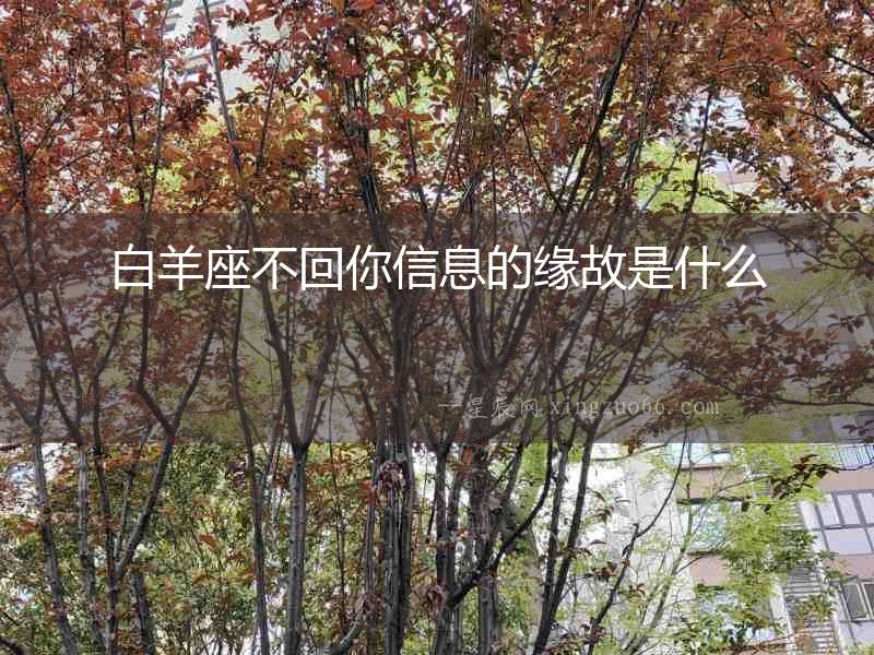 白羊座不回你信息的緣故是什么
