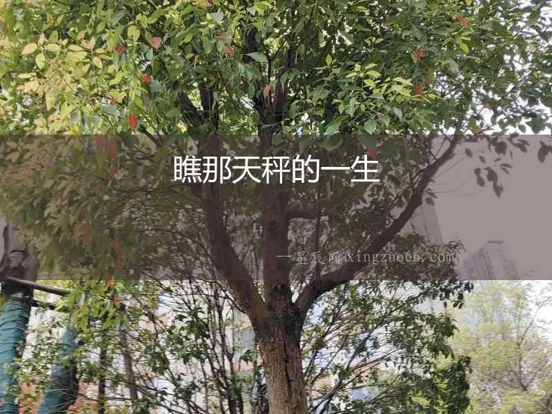 瞧那天秤的一生