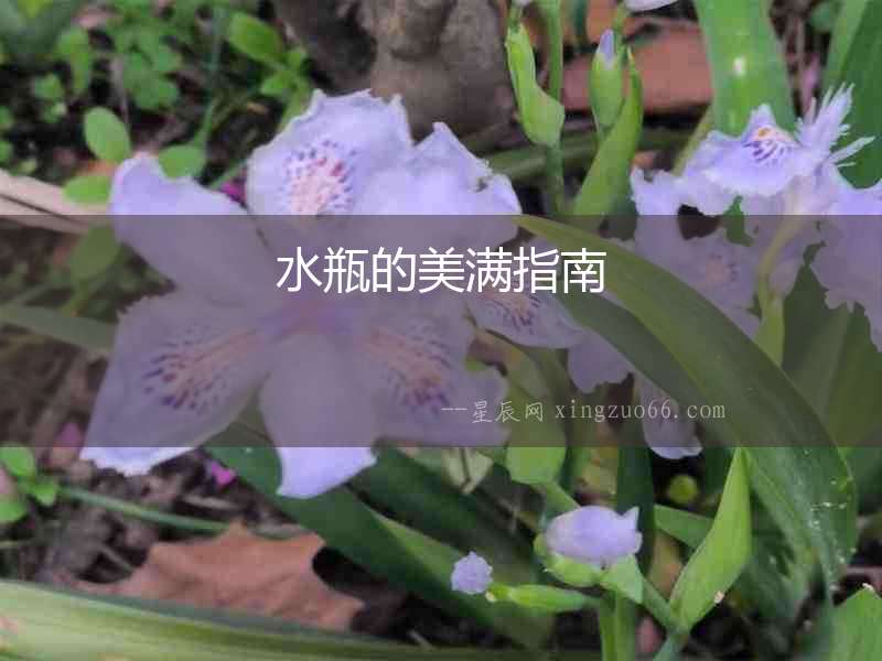水瓶的美滿指南