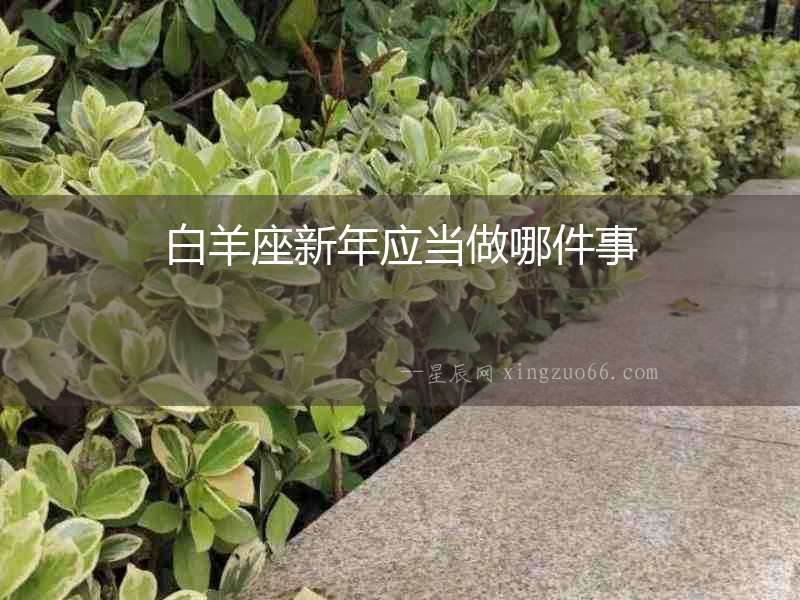 白羊座新年應當做哪件事