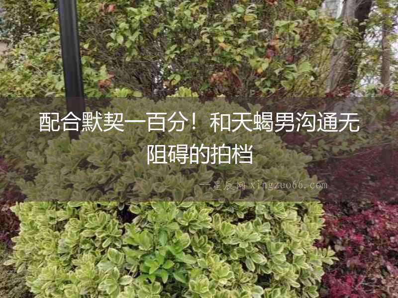 配合默契一百分！和天蝎男溝通無阻礙的拍檔