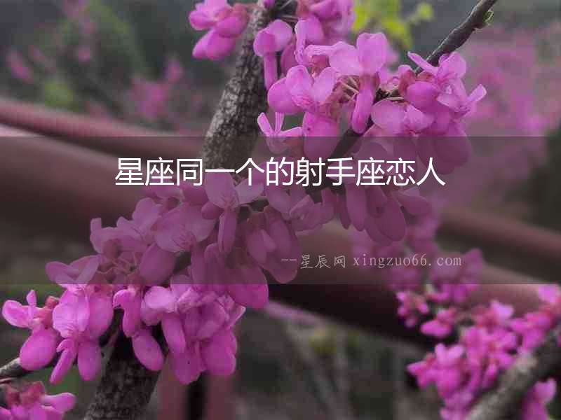星座同一個的射手座戀人