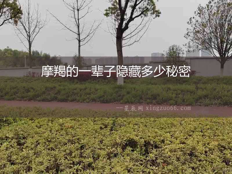 摩羯的一輩子隱藏多少秘密